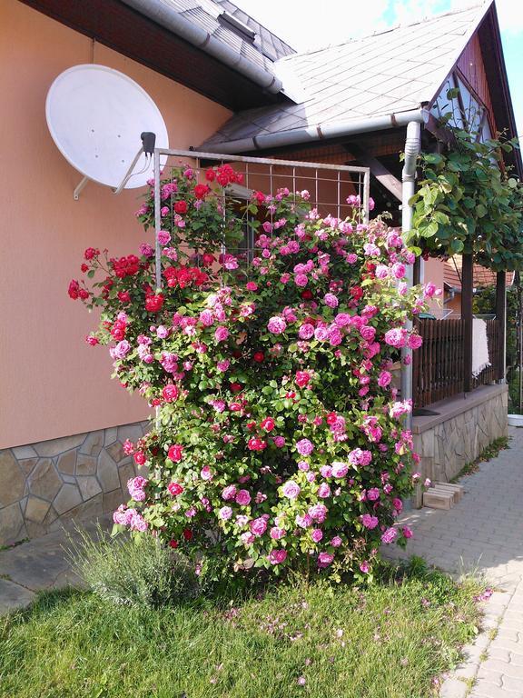 Hotel Valentin Vendeghaz Balatonlelle Zewnętrze zdjęcie