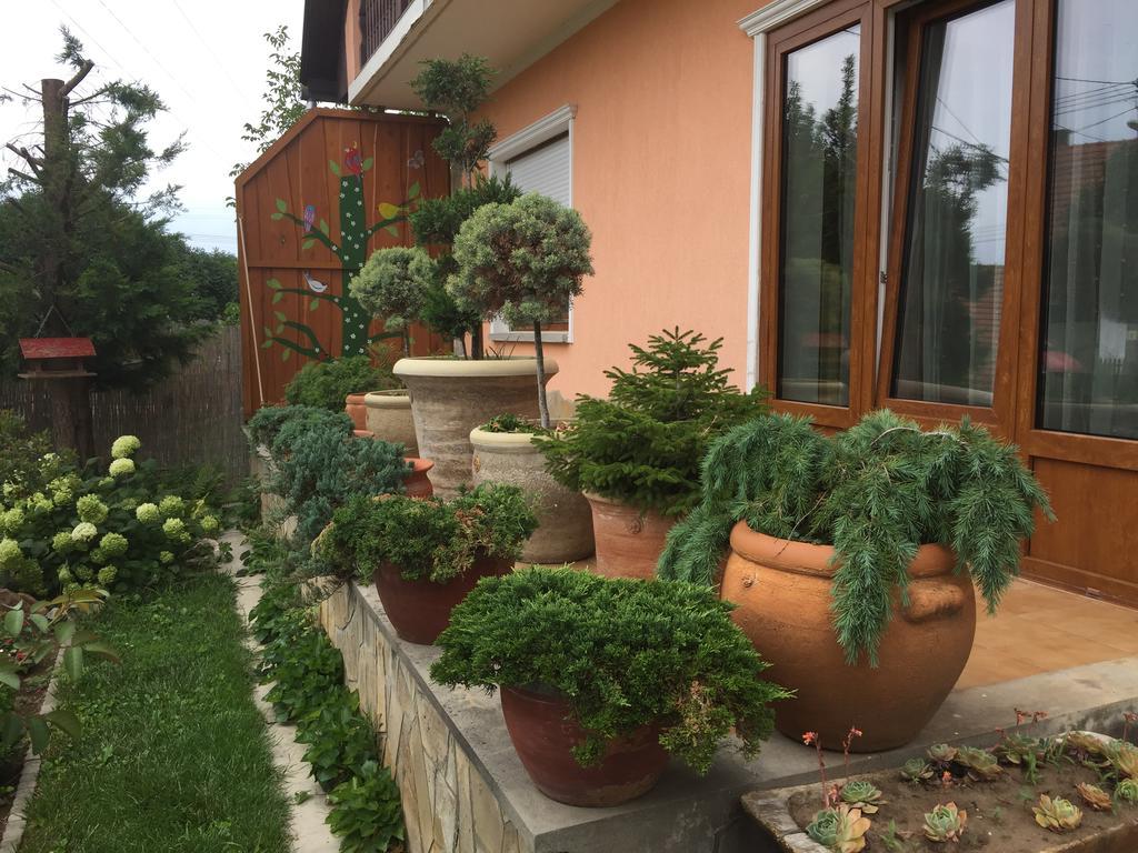 Hotel Valentin Vendeghaz Balatonlelle Zewnętrze zdjęcie